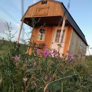 Maison d'hôtes Montana Old West Cabins à Babb Extérieur photo