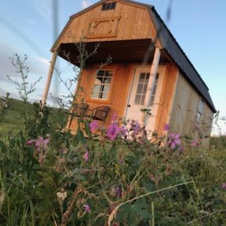 Maison d'hôtes Montana Old West Cabins à Babb Extérieur photo